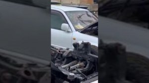 Автомобили - конструкторы