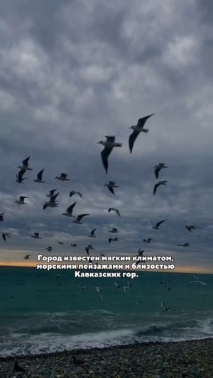 Сочи — город, где море встречается с горами