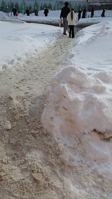 №1667 ул. Белинского. 12 марта 2026 г., 13:50:17 VID_20260312_134930726