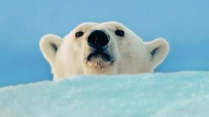 Разбор Терминов Волшебной Культуры от 12.03.26