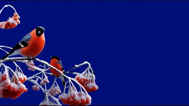 Снегири 6_encoded