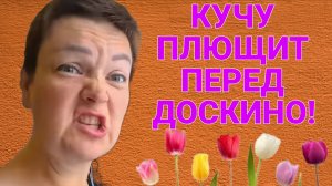 ОХ КАК ПЛЮЩИТ ПЕРЕД ДОСКИНО! ПИРАТСКАЯ ЖИЗНЬ. ОБЗОР.