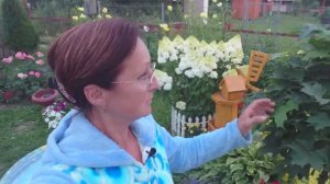 Видео привет с 6 соток 1 августа 2021 год