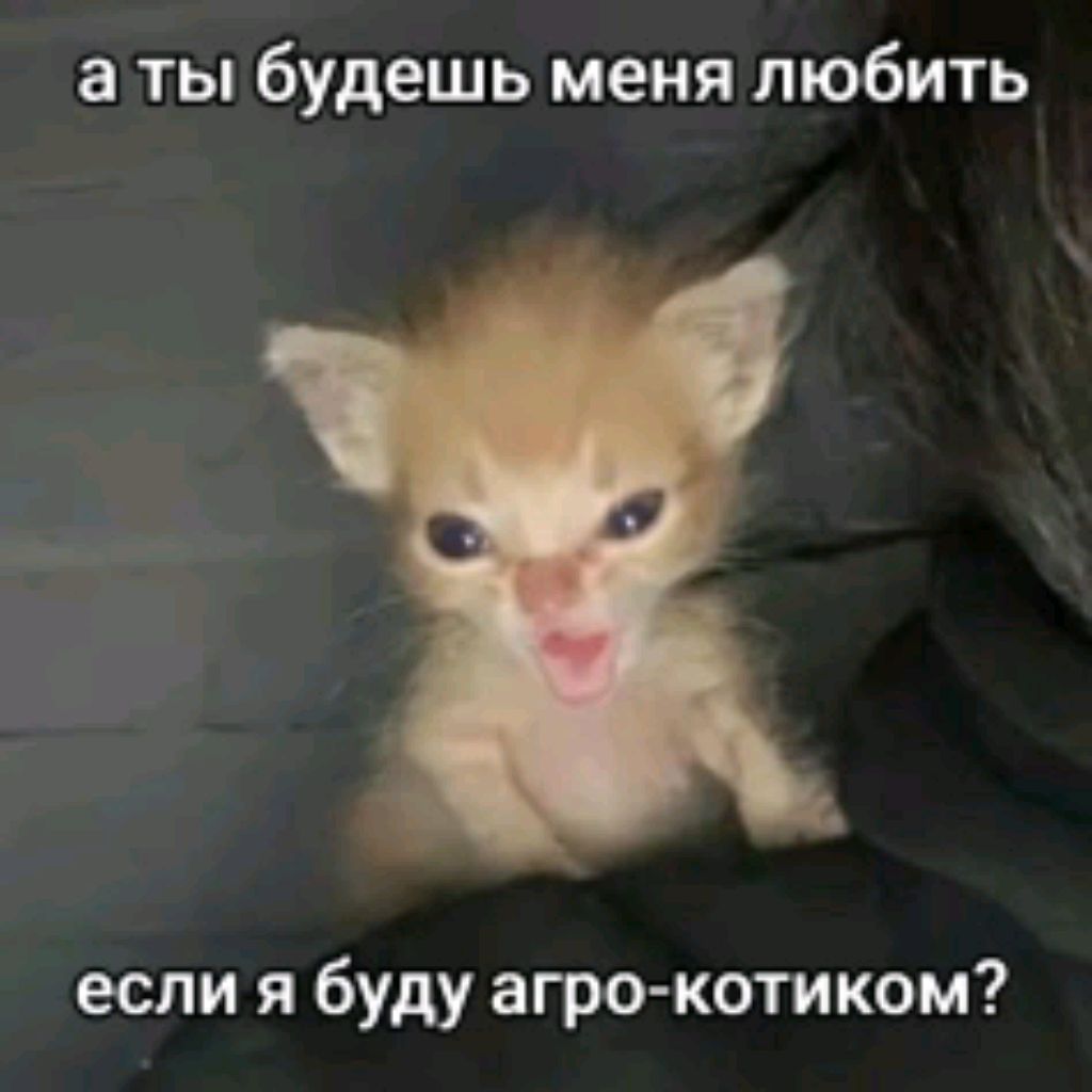 давайте осталось чучуть до 115!!! 😆😆🙏👍👍