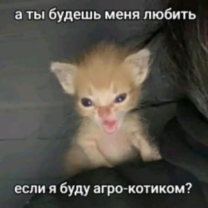 давайте осталось чучуть до 115!!! 😆😆🙏👍👍