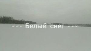 Белый  снег...