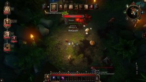 проходим Divinity Original Sin #12