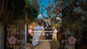 новая цыганская песня розовый рассвет 🌄 2026