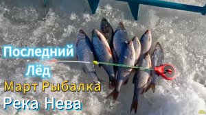 ПОСЛЕДНИЙ ЛЁД РЫБАЛКА РЕКА НЕВА КЛЁВ ПЛОТВЫ