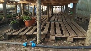 Отопление теплицы пластиковыми трубами ППР ПВХ. Котёл. Обзор.