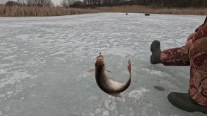 Река Битюг, закрыли сезон "твердой воды"!