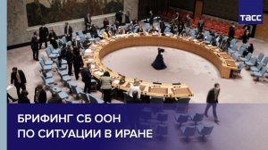 Брифинг СБ ООН по ситуации в Иране