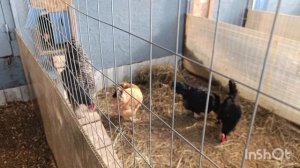 12-03-2026. Первая весенняя прогулка.