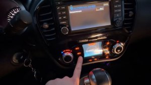 Обзор Ниссан Жук 2014