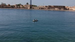 Птицы  отдыхают)