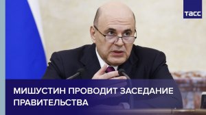 Мишустин проводит заседание правительства