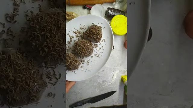 Сб смотреть онлайн