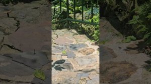 🦋 Эффект Бабочки: Глубокое расслабление 432 Гц. Снятие стресса и тревоги