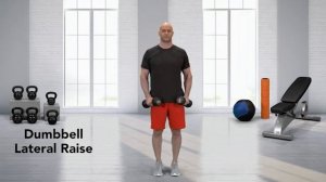 Махи гантелями / Dumbbells lateral raise
