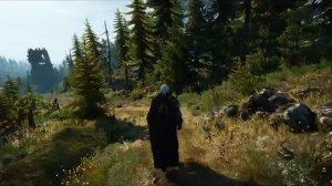 The Witcher 3 - Music & Ambience - Walking Through Skellige Island