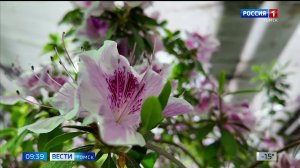 Вести-Томск, выпуск от 12.03.2026 09:30