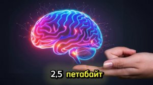 Память мозга