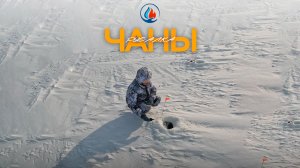 ЧАНЫ. шашлык, море карася и обзор палаток СИБТЕРМО!