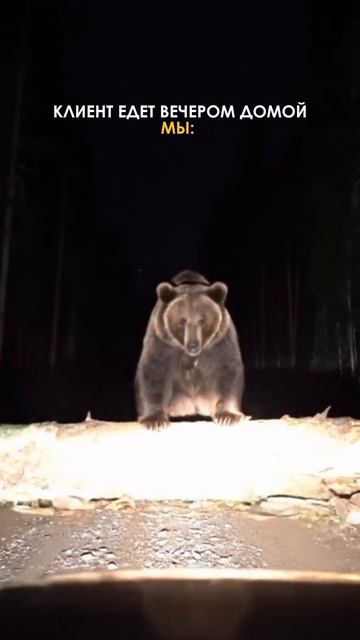 ВОТ ЭТО НИФИГА СЕБЕ! #заказатьвидео #видео #реклама #видеоролик #анимация #съёмка #юмор #2d #3d