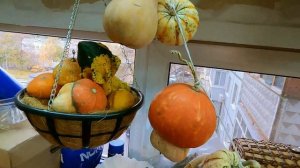 Тыква на духов день