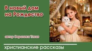 В новый дом на рождество
