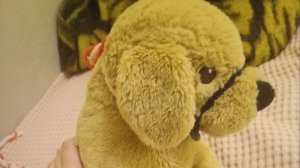 Команда которая знает Грейс плюш докблогинг