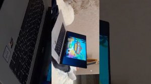 играю в игру на ноутбуке