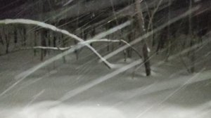 лесу: познакомился с иранкой. Или о бедном Иране замолвите слово. Либеральная Россия и Иран 🤔