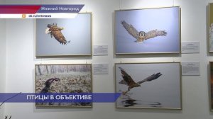 Выставка «Ангел неба» открылась в Русском музее фотографии