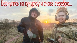 Вернулись на кукурузу и снова серебро... Банда Камрадов в поисках кладов, монет и старины. Коп 03.11