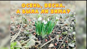 Осень, весна. А была ли зима? / Статья в видео / Архив от 16.03.2025