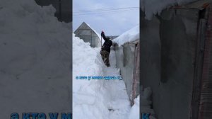 Снежная уральская зима #уралочка #снег #зима