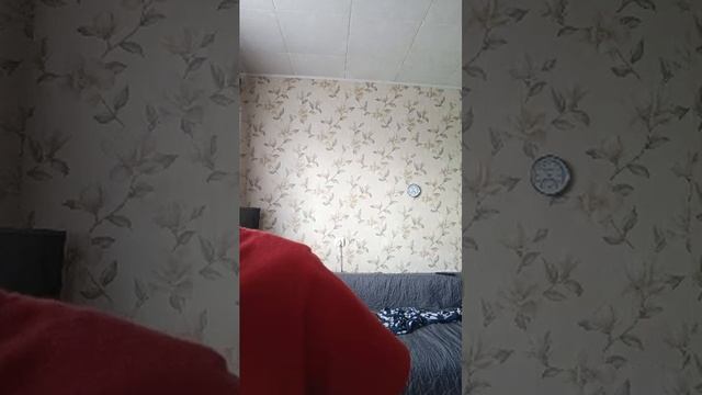 прямая трансляция