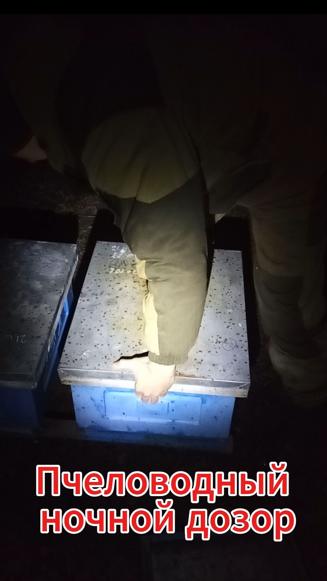 Ночное пчеловодство 2026...😀