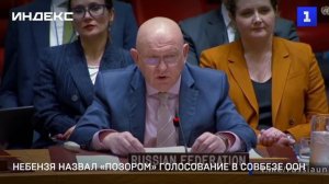 Небензя назвал «позором» голосование в Совбезе ООН