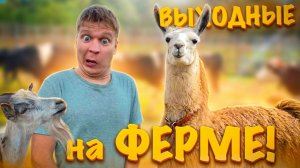 Малой и Выходные на Ферме!