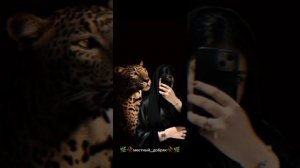 новая цыганская песня (modam)2026