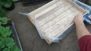 Поддоны для рассады своими руками