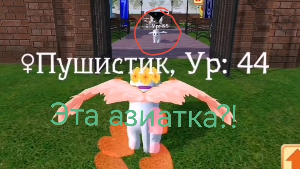 НАКОНЕЦ-ТО Я УЛЕТЕЛА ОТ ЭТИХ КАКИХ-ТО АЗИАТОК