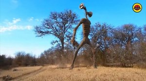 сиреноголовый против чёрного сиреноголоува . Драка