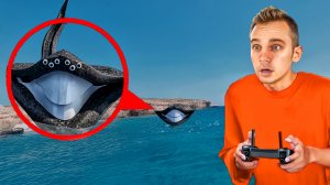 мой дрон ЗАСНЯЛ ПОЖИРАТЕЛЯ МОРЕЙ, ЭЛЬ-ГРАН-МАЙЮ И БЛУПА В РЕАЛЬНОЙ ЖИЗНИ!
