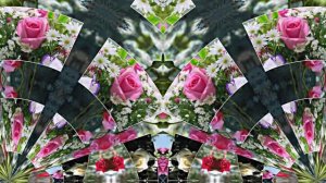 С Днём Рождения!!! Весенний сон 3!!! Музыкальная открытка от Киностудии Мудрого Кота Тимофея!