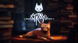 Stray #1 Серия ЧУДЕСНАЯ КАНАЛИЗАЦИЯ