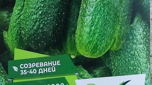 Огурец КЛОДИН f1 партенокарпический ранниий гибрид женского типа цветения семена 🥒🥒🥒
