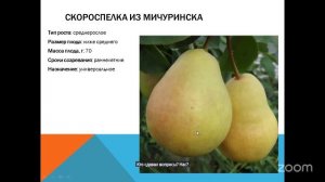 Уход за садом с Анастасией Борункова 12.3 14:00